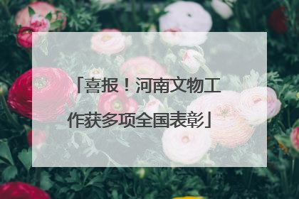 喜报！河南文物工作获多项全国表彰