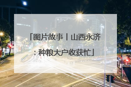 图片故事丨山西永济：种粮大户收获忙