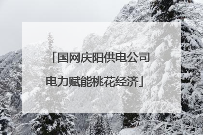 国网庆阳供电公司电力赋能桃花经济