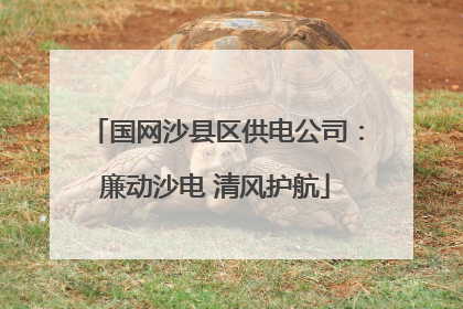 国网沙县区供电公司：廉动沙电 清风护航