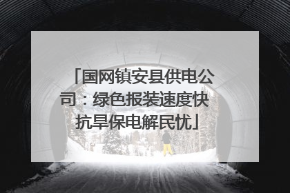 国网镇安县供电公司：绿色报装速度快 抗旱保电解民忧