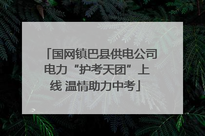 国网镇巴县供电公司 电力“护考天团”上线 温情助力中考