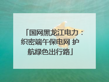 国网黑龙江电力：织密端午保电网 护航绿色出行路