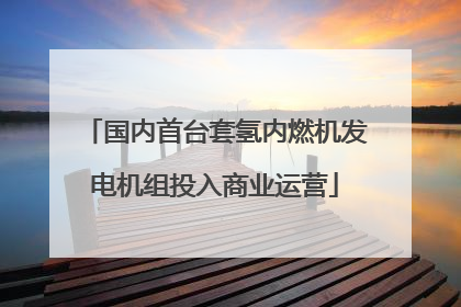 国内首台套氢内燃机发电机组投入商业运营