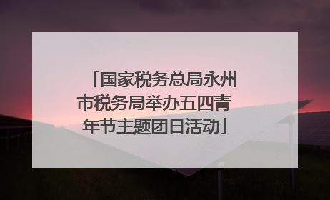 国家税务总局永州市税务局举办五四青年节主题团日活动