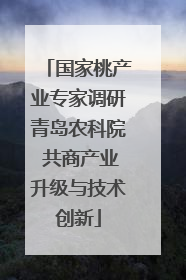 国家桃产业专家调研青岛农科院 共商产业升级与技术创新