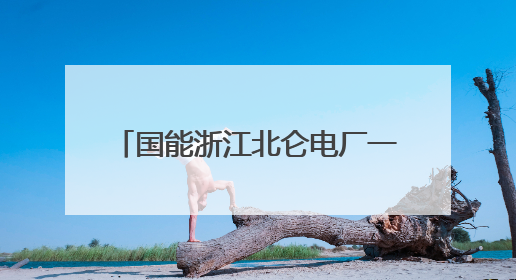 国能浙江北仑电厂一期改造项目8号机组首次并网一次成功