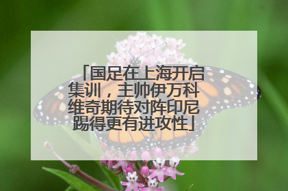 国足在上海开启集训，主帅伊万科维奇期待对阵印尼踢得更有进攻性