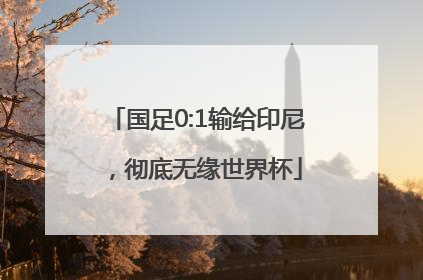 国足0:1输给印尼，彻底无缘世界杯