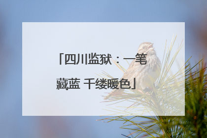 四川监狱：一笔藏蓝 千缕暖色
