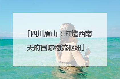 四川眉山：打造西南天府国际物流枢纽