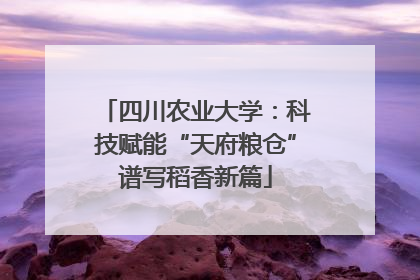 四川农业大学：科技赋能“天府粮仓”谱写稻香新篇