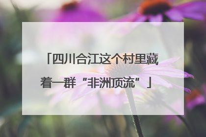 四川合江这个村里藏着一群“非洲顶流”