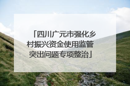 四川广元市强化乡村振兴资金使用监管突出问题专项整治
