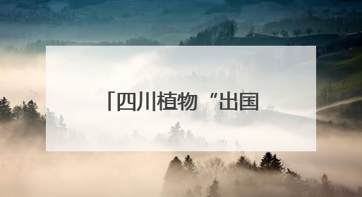四川植物“出国记” 市民沉浸式体验自然之美