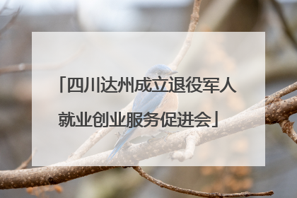 四川达州成立退役军人就业创业服务促进会