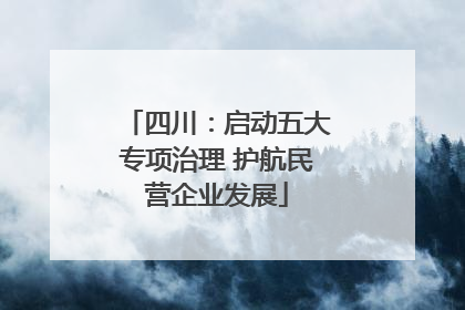 四川：启动五大专项治理 护航民营企业发展