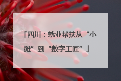 四川：就业帮扶从“小摊”到“数字工匠”
