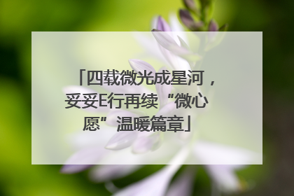 四载微光成星河，妥妥E行再续“微心愿”温暖篇章