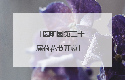 圆明园第三十届荷花节开幕