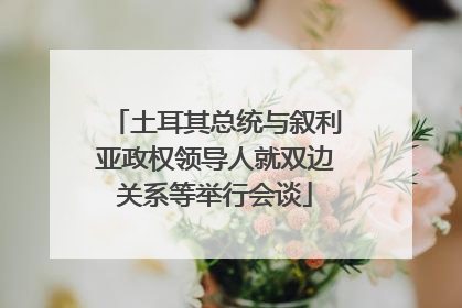 土耳其总统与叙利亚政权领导人就双边关系等举行会谈