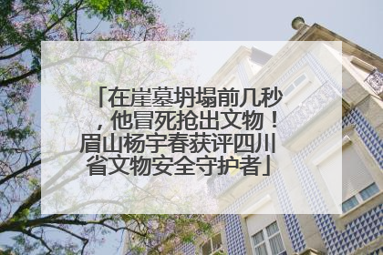在崖墓坍塌前几秒，他冒死抢出文物！眉山杨宇春获评四川省文物安全守护者