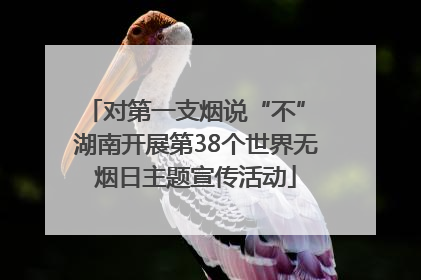 对第一支烟说“不” 湖南开展第38个世界无烟日主题宣传活动