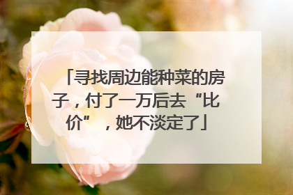 寻找周边能种菜的房子，付了一万后去“比价”，她不淡定了
