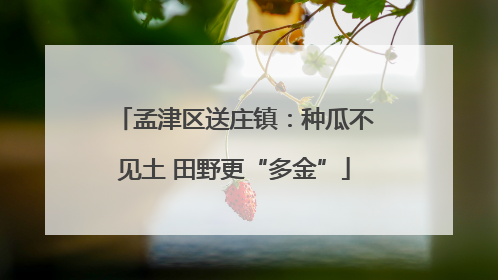 孟津区送庄镇：种瓜不见土 田野更“多金”
