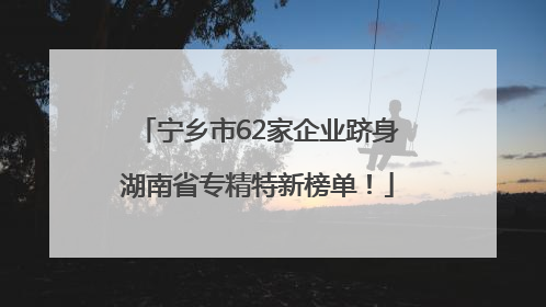 宁乡市62家企业跻身湖南省专精特新榜单！