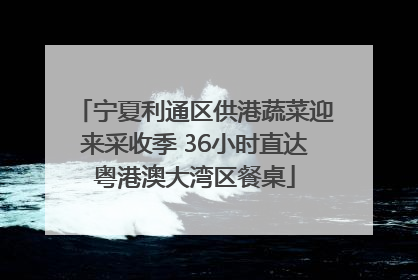 宁夏利通区供港蔬菜迎来采收季 36小时直达粤港澳大湾区餐桌