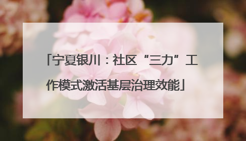 宁夏银川：社区“三力”工作模式激活基层治理效能