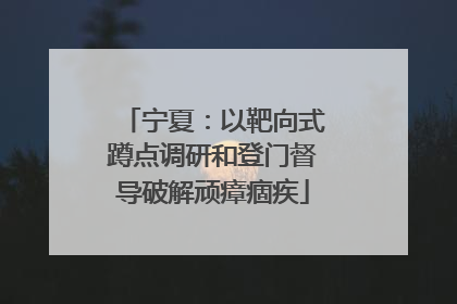 宁夏：以靶向式蹲点调研和登门督导破解顽瘴痼疾