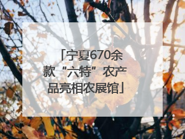 宁夏670余款“六特”农产品亮相农展馆