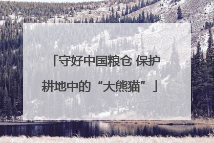 守好中国粮仓 保护耕地中的“大熊猫”