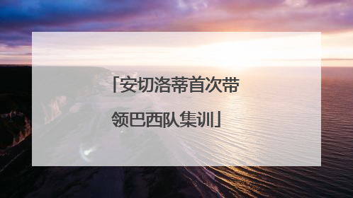 安切洛蒂首次带领巴西队集训