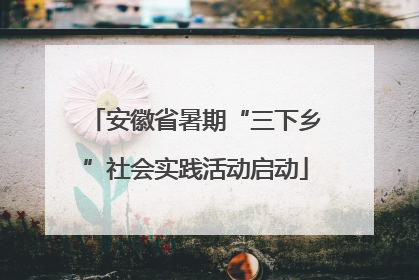 安徽省暑期“三下乡”社会实践活动启动