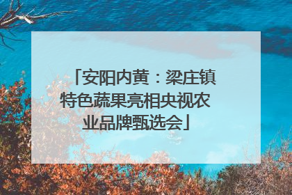 安阳内黄：梁庄镇特色蔬果亮相央视农业品牌甄选会