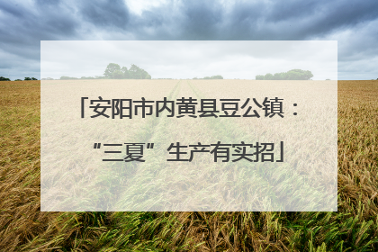 安阳市内黄县豆公镇：“三夏”生产有实招
