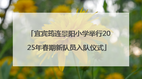 宜宾筠连景阳小学举行2025年春期新队员入队仪式