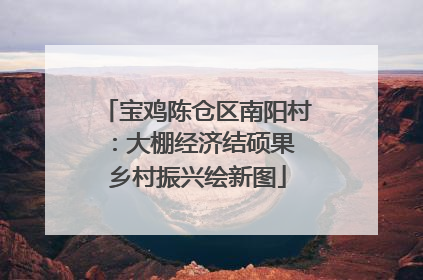 宝鸡陈仓区南阳村：大棚经济结硕果 乡村振兴绘新图