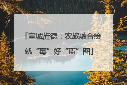 宣城旌德：农旅融合绘就“莓”好“蓝”图