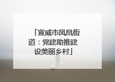 宣威市凤凰街道：党建助推建设美丽乡村