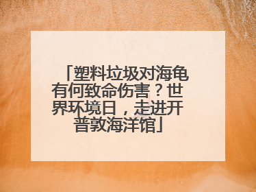 塑料垃圾对海龟有何致命伤害？世界环境日，走进开普敦海洋馆