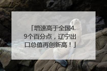 增速高于全国4.9个百分点，辽宁出口总值再创新高！