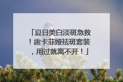 夏日美白淡斑急救！露卡菲娅祛斑套装，用过就离不开！