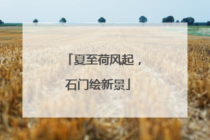 夏至荷风起，石门绘新景