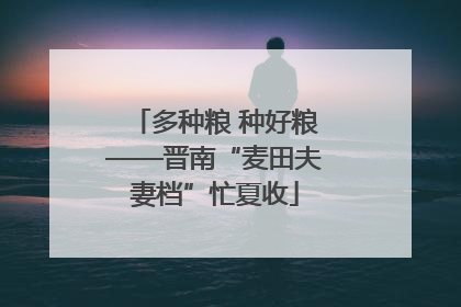 多种粮 种好粮——晋南“麦田夫妻档”忙夏收