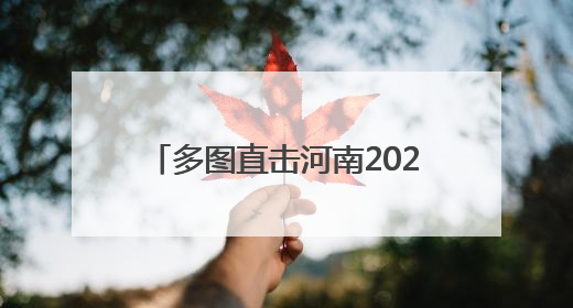 多图直击河南2025年新高考｜旗袍送福 葵花迎胜——许昌高考首日拉开帷幕