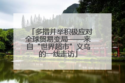 多措并举积极应对全球贸易变局——来自“世界超市”义乌的一线走访